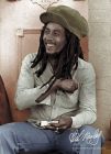 Carte Postale BOB MARLEY - Skin Up