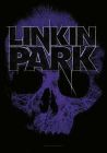 Drapeau LINKIN PARK - Skull