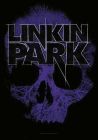 Drapeau LINKIN PARK - Skull