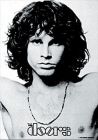 Drapeau THE DOORS - Morrison