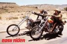 Poster EASY RIDER - Bikes