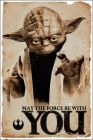 Poster STAR WARS - May The Force